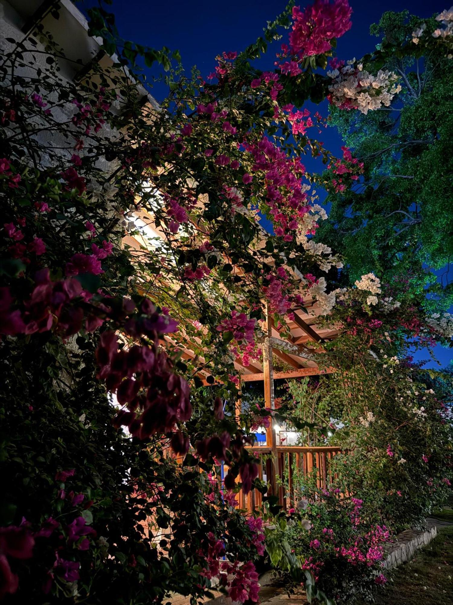 Hotel Jardin Boutique Rodadero Santa Marta  Exterior photo