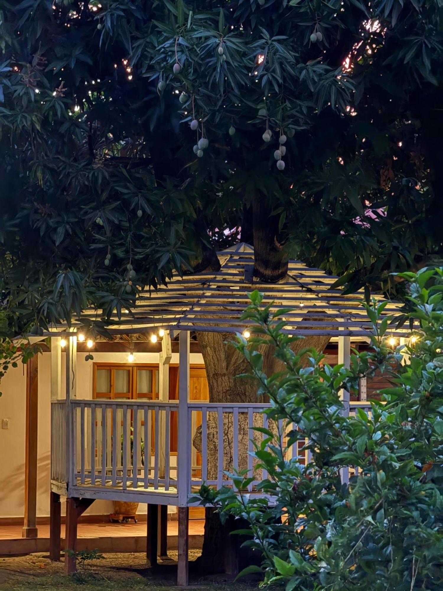 Hotel Jardin Boutique Rodadero Santa Marta  Exterior photo